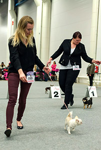 Ava ja Baby kehässä 5.12.2015