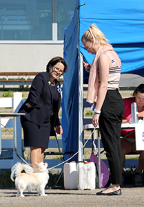 Ava näyttelyssä Virossa 16.7.2017