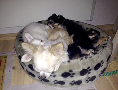 Samassa pedissä 16.8.2015