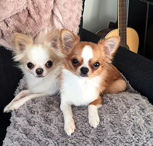 Sesi ja Yoda 11.8.2017