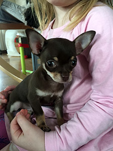 Tofi Venlan sylissä