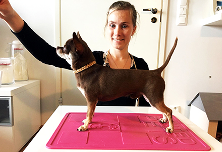 Tofi harjoittelee seisomista 4.7.2018