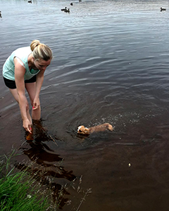 Yoda ui ensimmäistä kertaa 27.7.2017