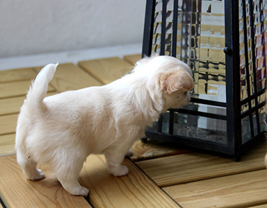 Pentu 1 ensimmäistä kertaa ulkona