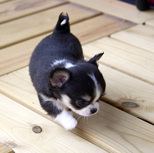 Pentu 3 ensimmäistä kertaa ulkona