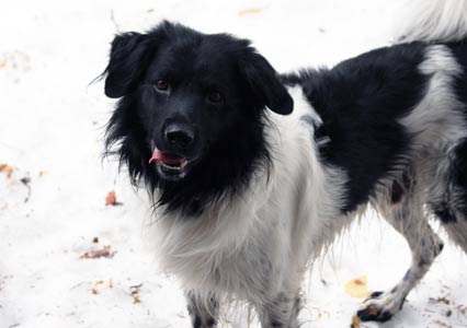 Doti talvella ulkona