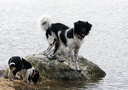 Doti ja Jilske rannalla