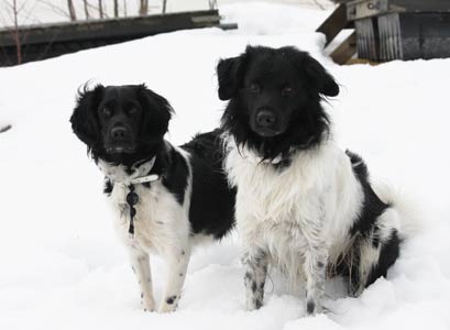 Doti ja Jilske talvella