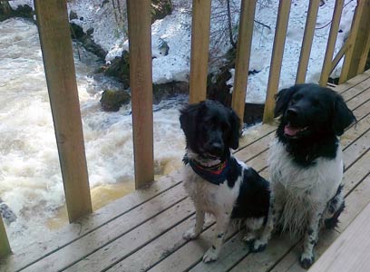 Doti ja Jilske padolla