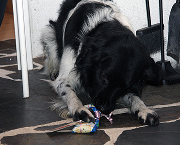 Doti joulahjaa avaamassa