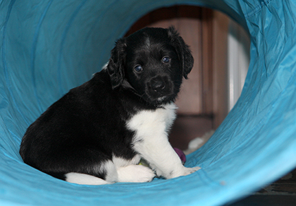 Jeger uudessa putkessa