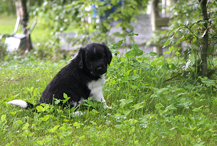 Jeger sateeseen tutustumassa