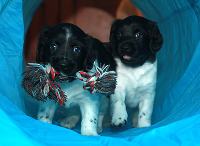 Jespe Jelskon kanssa