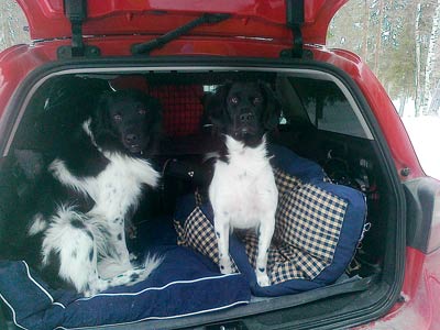 Jilske ja Doti takapaksissa