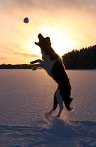 Jilske lumipalloleikissä