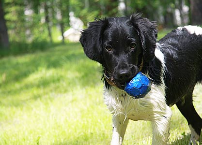 Jilske pallon kanssa