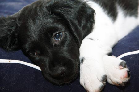 Jilsken 4. pv kotona