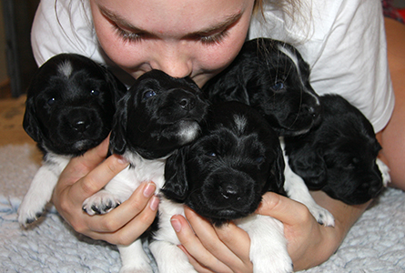 Sylintäydeltä rakkautta