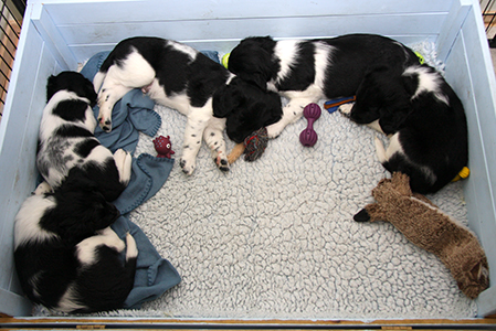 Välillä pitää huilia