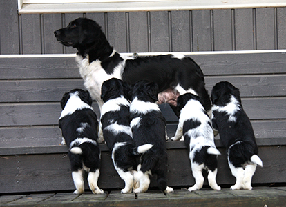 Äiti on niin korkealla