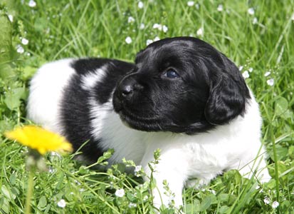 Jaipe 1. kertaa ulkona