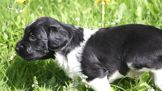 Jaape 1. kertaa ulkona